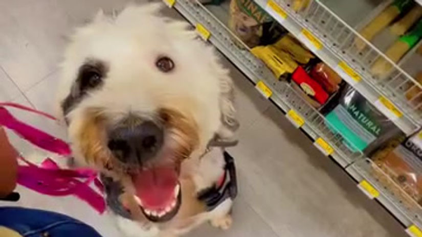 sylvie-hardware-store